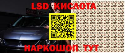 ГАЛЛЮЦИНОГЕННЫЕ ГРИБЫ Свободный