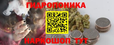 ГАЛЛЮЦИНОГЕННЫЕ ГРИБЫ Свободный