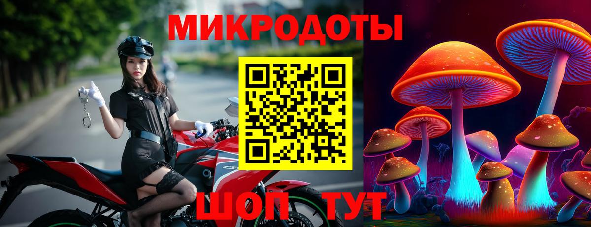 Ростов Великий  Галлюциногенные грибы мицелий  Вход с VPN  Псилоцибиновые грибы MAGIC MUSHROOMS 